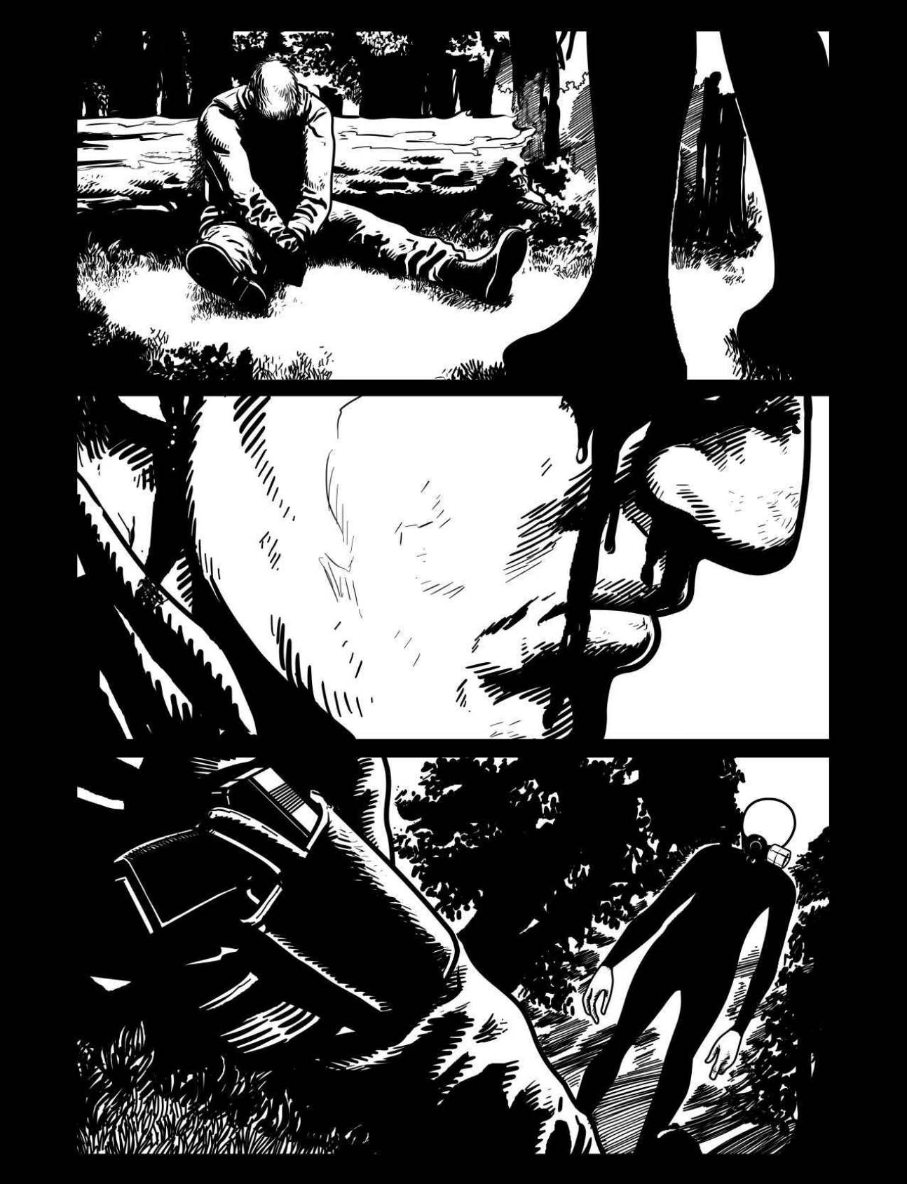 Description of Image 16