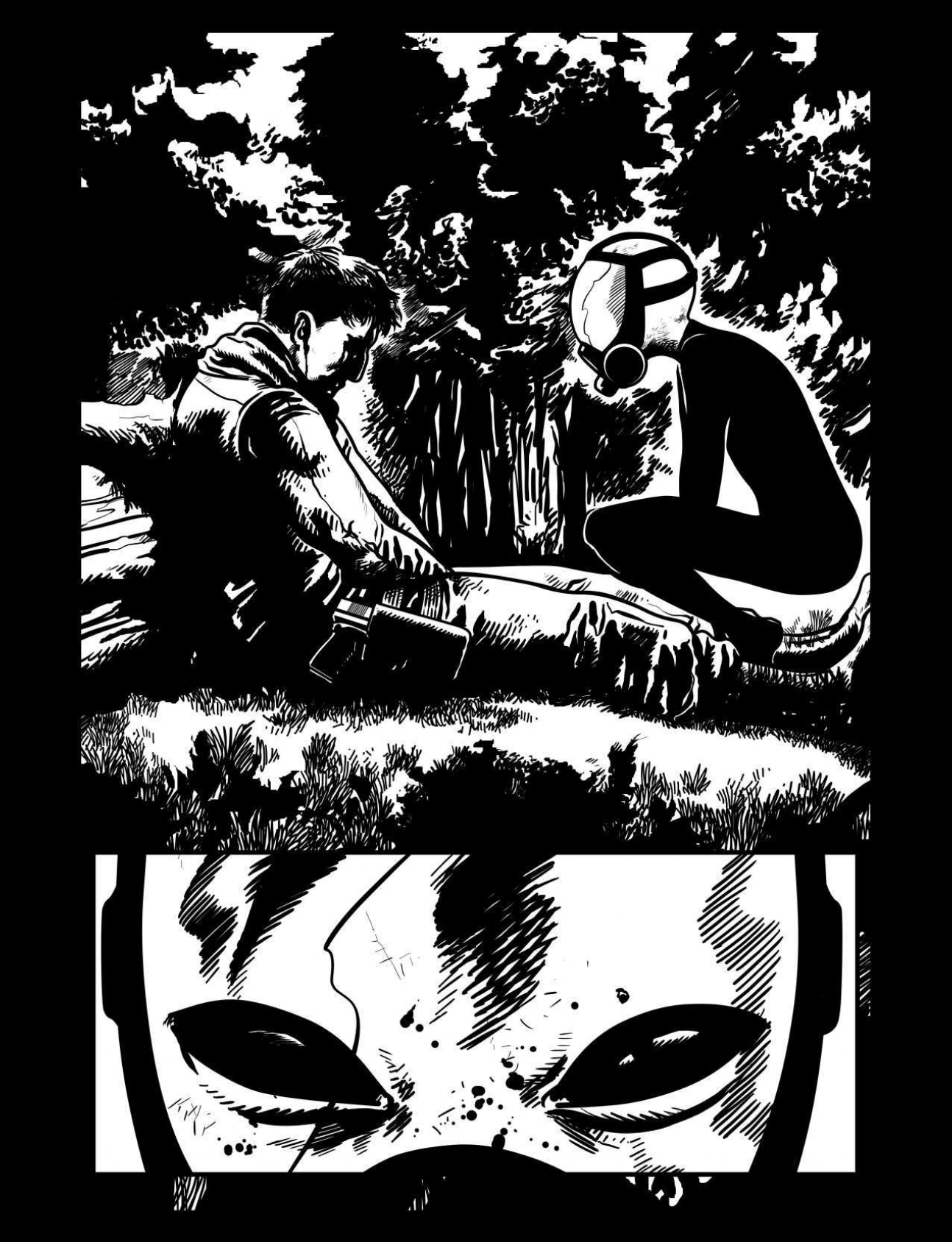 Description of Image 17